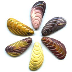 18x38mm Large Mookite Carved SHELL Beads
