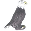 24x35mm Hand Painted Peruvian Ceramic BALD EAGLE Bead