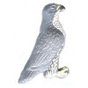 20x37mm Hand Painted Peruvian Ceramic PEREGRINE FALCON Bead