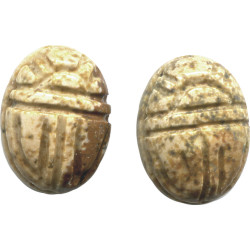 10x13mm Picture Jasper SCARAB, BEETLE Beads