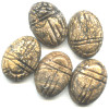 12x17mm Picture Jasper SCARAB, BEETLE Beads