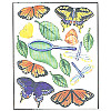 Paper Reflections® Vellum *Butterflies* DIE CUTS