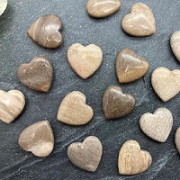 20mm PETRIFIED WOOD JASPER HEART Beads