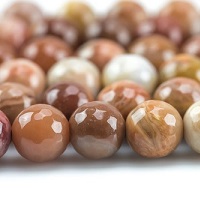 10mm Grade AAA PETRIFIED WOOD JASPER  Faceted ROUND Beads