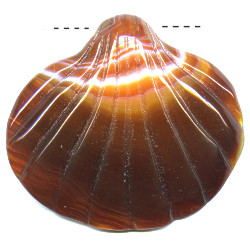 55x63mm Large Red Sardonyx Agate Carved Scallop/Clam SHELL Pendant Bead