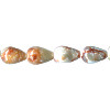 9x12mm Russian Red Picasso Jasper EGG, TEARDROP Beads