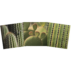 Scrap Your Trip® 12x12 *Cactus* Printed SCRAPBOOK PAPER Assortment