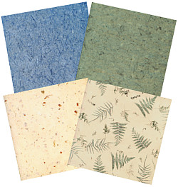 Paper Pizazz® 11¾ x 12 *Organics* Patterned SCRAPBOOK PAPER Assortment