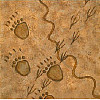 Scrapbookers Painted Page® *Animal Tracks* Printed SCRAPBOOK PAPER