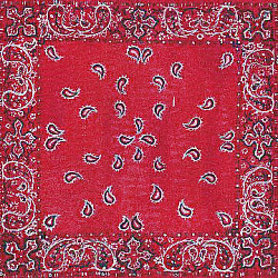 Scrapbookers Painted Page® 12x12 *Red Bandanna* Patterned SCRAPBOOK PAPER