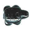 15x22mm Blackstone TURTLE Animal Fetish Bead