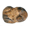 15x20mm Picture Jasper FROG Animal Fetish Bead