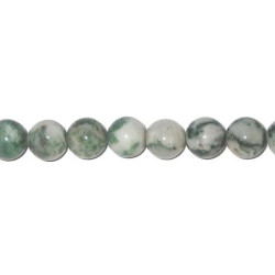 4mm Tree Agate ROUND Beads