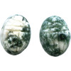 10x13mm Tree Agate SCARAB, BEETLE Beads